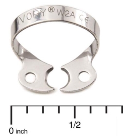 Ivory Clamp SS W2A Wingless Bicspd