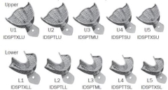 PERF IMPRESSION TRAY SET - STAINLESS STEEL (10)