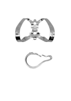 Ivory Clamp SS 6 Regular Labial