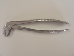 IDS FORCEP # 13