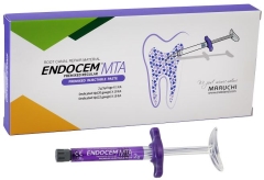 EndoCem MTA Premixed Injectable Paste (2g Syringe)