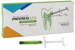 DL ENDOSEAL MTA SYRINGE (3g)